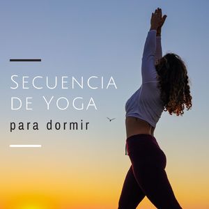 El Poder del Yoga