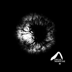 Guiding Light (Instrumental Version)