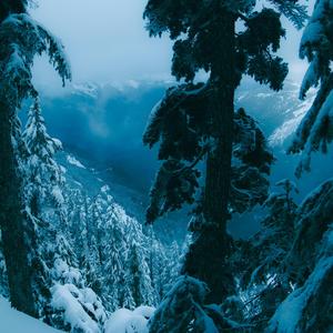 snow (slowed + reverb)