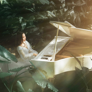 森林钢琴·谧境