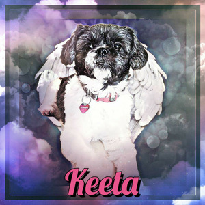Keeta Beat