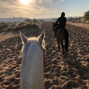 LOVE LIFE(爱情生活）