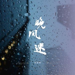 晚风迷 伴奏