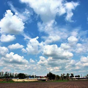 夜空中最亮的星（cover: 逃跑计划）
