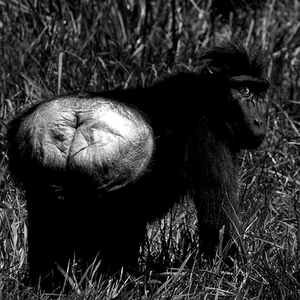 harunfinest annelerimizin kızlığını aldı