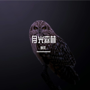 虹桥混响