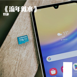 心随风动