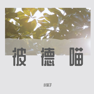 彼德喵