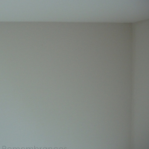 Starlet (Instrumentals)