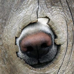 リードコントロール (sped up)