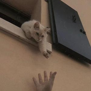 意欲