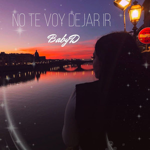 No Te Voy Dejar Ir
