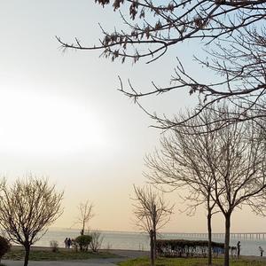 《刻在我心底的名字》