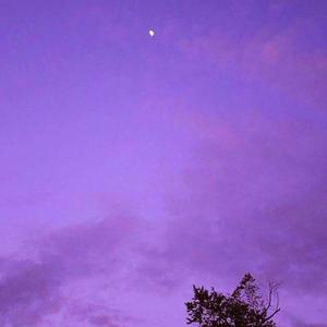 2019.9.25午夜随笔