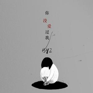 你没爱过我