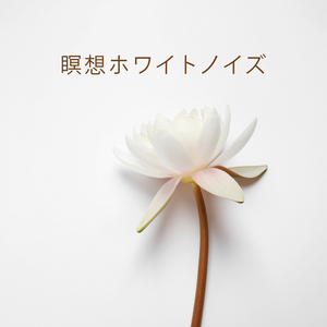 心と体のバランス