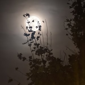 与自己，刘强.mp3