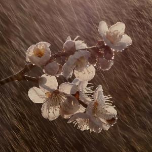 Clouds are Grumbling