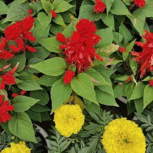 良心这个东西它不是人人都有