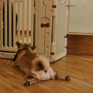 Cotton Jones Basket Ride-never changre（姚百米 remix）