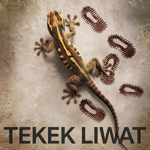Tekek Liwat