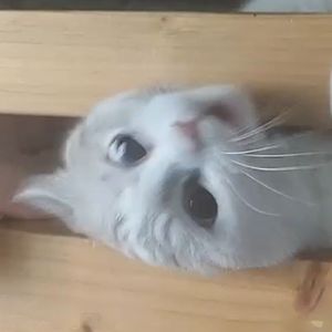 不谈恋爱也没关系