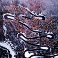 Take Me Hand