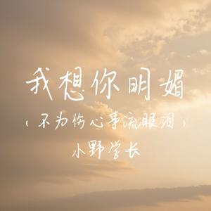 我想你明媚(不为伤心事流眼泪)