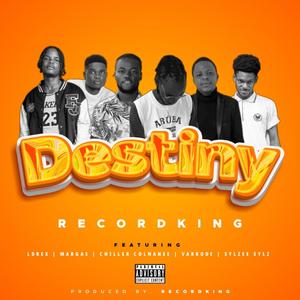 Destiny (feat. Ldrez, Margas, Chiller Colnanee, VarKode & Sylzee Sylz)