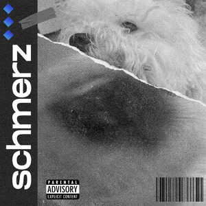 Schmerz