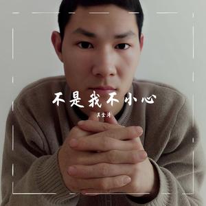 不是我不小心 (舞曲)
