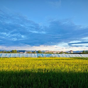 流浪 [高质量].mp3