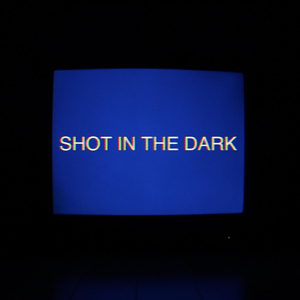 Shot in the Dark