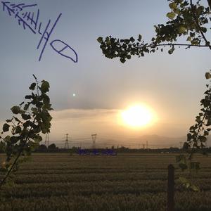 《标准音6》