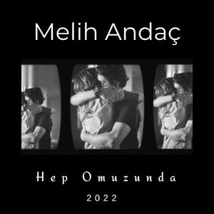 Hep Omuzunda