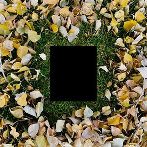 there's a spider living inside me