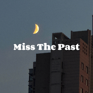 Miss The Past