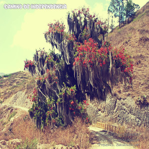 Camino de Independencia