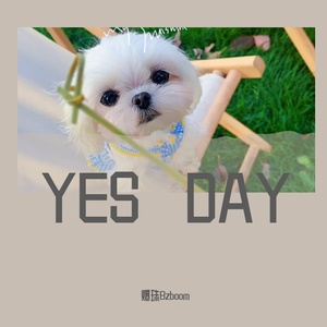 YES DAY