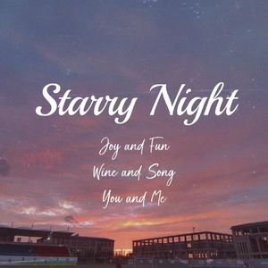 星辰之夜Starry Night