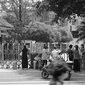 不期而遇的夏天