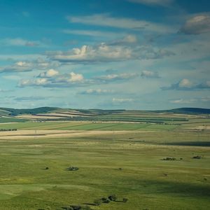 棠棣（纯音乐）