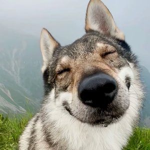 暴风雨来临之前