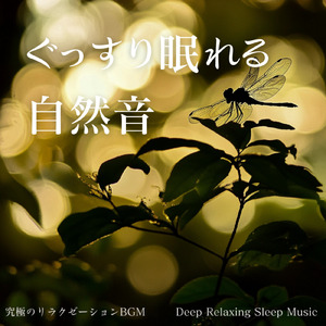 森の風景の調べ