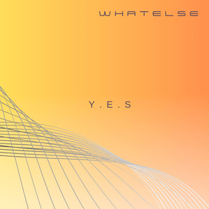 Y.E.S