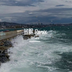 冬眠 DJ版（DJ Loerai Remix）