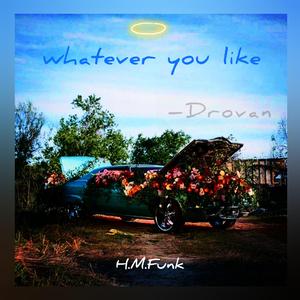 Whatever You Like