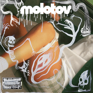 Puto (Desde El Palacio De Los Deportes)