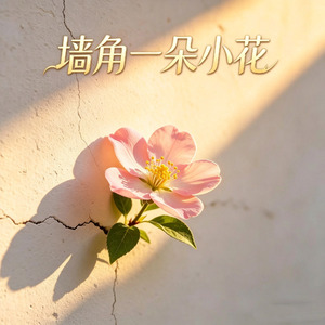 墙角一朵小花