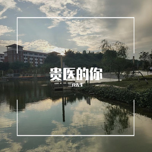 贵医的你
